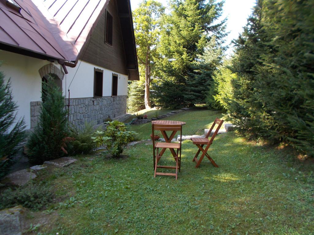 Hotel Penzion Hana Špindlerŭv Mlýn Esterno foto